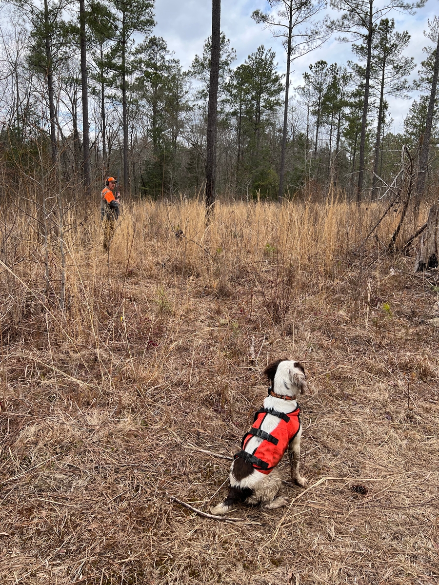 GUIDED HUNTS GUIDED HUNTS